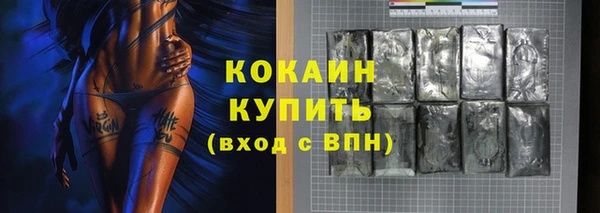сатива Касимов