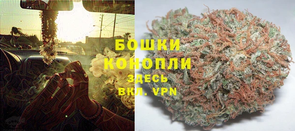 винт Карпинск