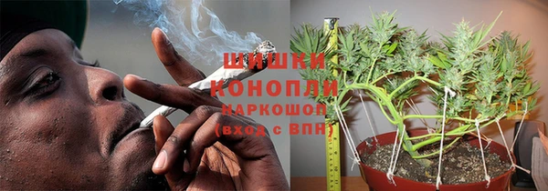 сатива Касимов