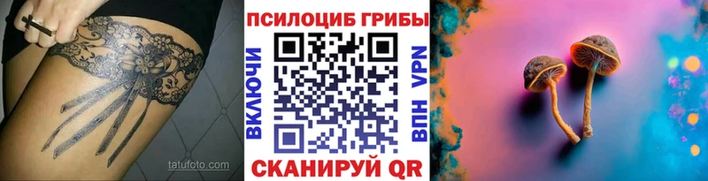 Псилоцибиновые грибы Cubensis  Купить  Стародуб 